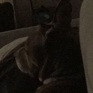 Meet your Posher, Cade